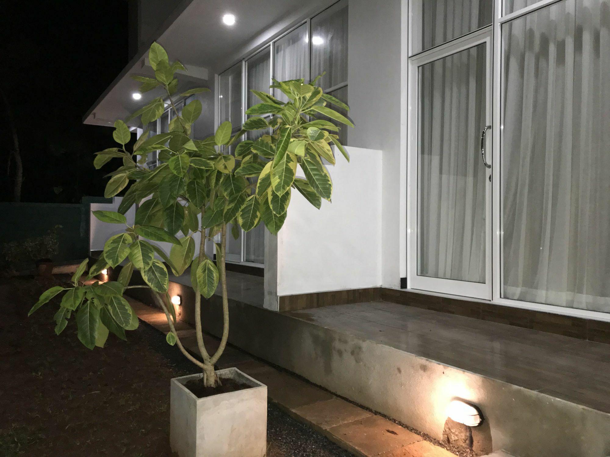אנוראדפורה Salubrious Resort מראה חיצוני תמונה